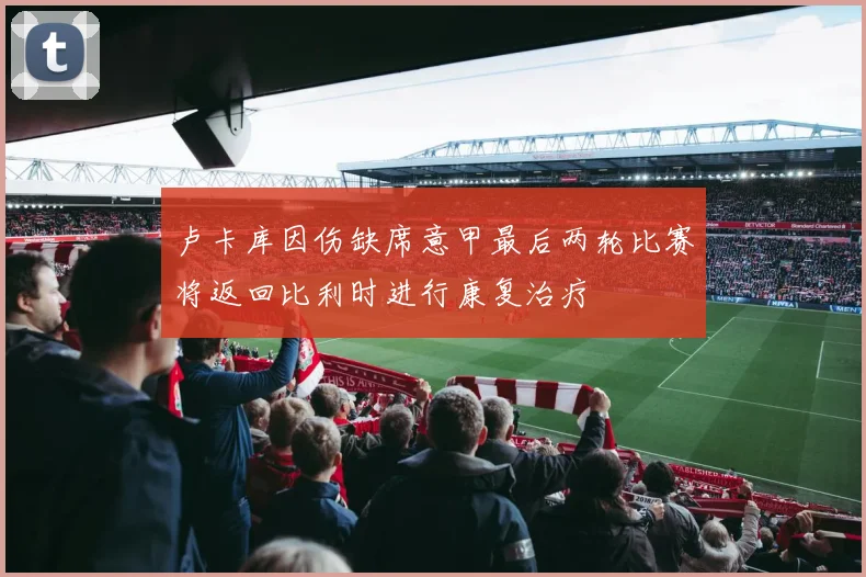 卢卡库因伤缺席意甲最后两轮比赛将返回比利时进行康复治疗